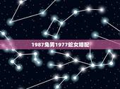 1987兔男1977蛇女婚配，1977年属蛇男和1987年属兔女配婚可