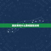 属蛇男和什么属相最配结婚，1989男属蛇双子座的和什么属相最配