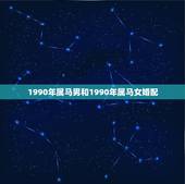 1990年属马男和1990年属马女婚配，90年男马能和什么属相女相配