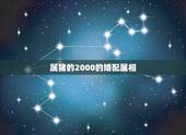 属猪的2000的婚配属相，71年属猪的和什么属相最配 属猪的属相婚配表