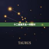 十二星座天生一对配对 十二星座真正情侣配对