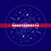 狗爸爸和牛宝宝属相合不合，爸爸属牛孩子属狗好吗