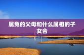 属兔的父母和什么属相的子女合，属羊父亲和属兔母亲生个属猴孩子合不合