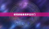 校花的贴身高手五行门，林逸的小弟有哪些？（