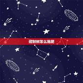 招财树怎么施肥，如何给发财树施肥？