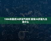 1986年属虎36岁运气如何 属兔36岁逢九注意什么