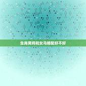 生肖男鸡和女马婚配好不好，1990女属马和1969男属鸡相配吗