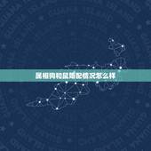 属相狗和鼠婚配情况怎么样，男属狗和女属鼠相配婚姻如何？