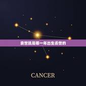 袁世凯是哪一年出生去世的，袁世凯哪年出生﹖