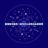 属相兔与兔在一起为什么没有白头到老呢，男鼠女兔在一起结婚会白头到老吗