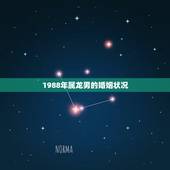 1988年属龙男的婚姻状况，1988年属龙男2022 年运势
