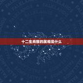 十二生肖猴的属相是什么，属猴的最佳配对属相是什么