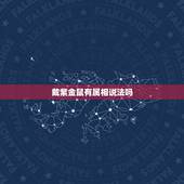 戴紫金鼠有属相说法吗，紫金鼠手串的寓意是什么？