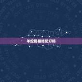 羊蛇属相婚配好吗，属羊和属蛇相配吗？