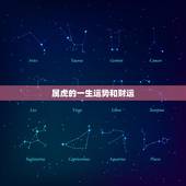 属虎的一生运势和财运，2022 属虎的运势和财运