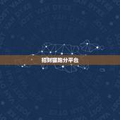 招财猫跑分平台，招财猫平台没有借过钱怎么回事？