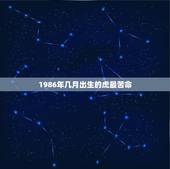 1986年几月出生的虎最苦命，为什么86年苦命虎