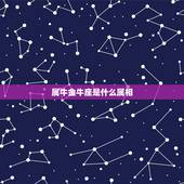 属牛金牛座是什么属相，属牛金牛座