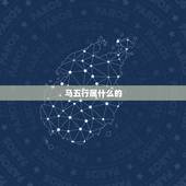 马五行属什么的，“霖”字五行属水，火旺的时