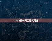 2022独一无二霸气网名，2023独一无二霸气网名女