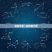 虎和牛在一起对谁不利，牛和虎在一起有财运吗