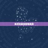 属虎的最佳配偶属相，属虎的最佳配偶