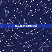 属马2021年如何转运，今年属马的财运和运气如何2021年