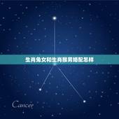 生肖兔女和生肖猴男婚配怎样，属相婚配：男属猴和女属兔相配吗