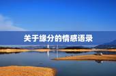 关于缘分的情感语录，形容珍惜缘分感情的句子