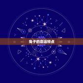 87年属6月兔什么命(兔子的命运如何)