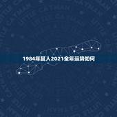 1984年鼠人2021全年运势如何，84年的鼠在2021年的运势如何