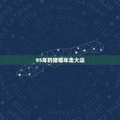 95年的猪哪年走大运，95年山头火命的姻缘