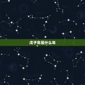 戊子年是什么年，庚子年是什么年