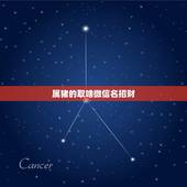 属猪的取啥微信名招财，属猪的用个什么微信名字呢