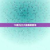 78属马三大劫难都那年，78年属马43岁大劫是什么