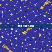 戊午是什么时候，戊午时是几点钟