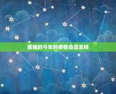 属猪的今年的感情会是怎样，83年属猪的人今年的感情