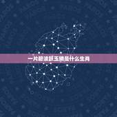 一片碧波跃玉鳞是什么生肖，一片碧波。指什么生肖
