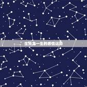 生肖龙一生的感情运势，生肖蛇和生肖龙配对一生运势