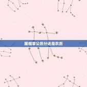 属相拿公历分还是农历，属相是按照阳历还是农历