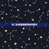 十二生肖属相顺序排列图片 如何挑选十二种生肖动物