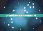七月份生的猪跟属鸡婚配能长久吗，男属鸡，女属猪是否命相和，结婚是否好