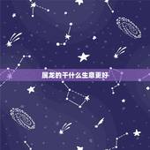 属龙的干什么生意更好，76年属龙适合什么生意