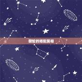 猴蛇的婚配属相，生肖配对猴蛇我们的婚姻指数.
