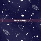 色字五行属什么，八字五行属火买什么颜色车最