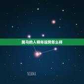 属马的人明年运势怎么样，12生肖运势