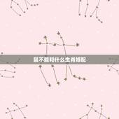 鼠不能和什么生肖婚配，十二生肖鼠与什么生肖不宜婚配