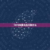 1978年属马五行缺什么，1978年属马五行属什么