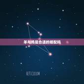羊与鸡是合适的婚配吗，属相婚配鸡和羊