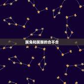属兔和属猴的合不合，属兔的人和属猴的在一起会怎样